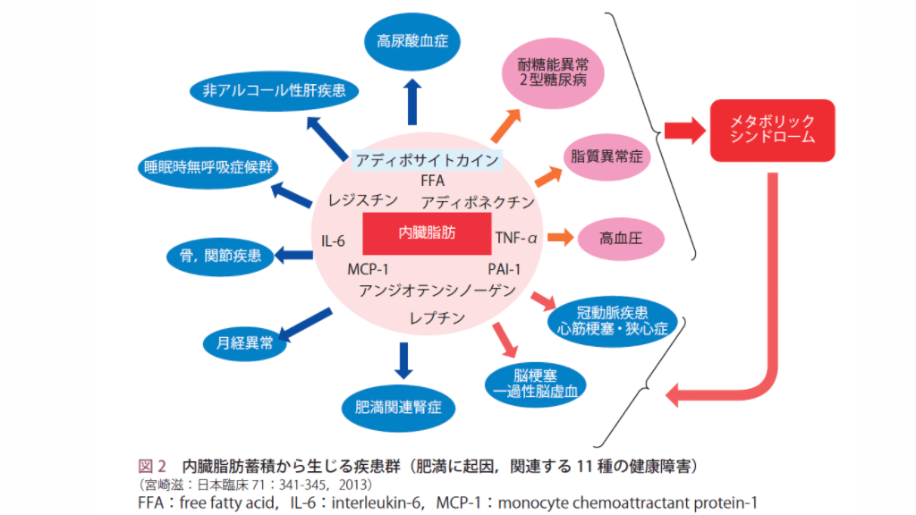 出典：日本肥満学会「肥満診療ガイドライン2016 」（出典として診療ガイドラインat a glanceを掲載）図2
