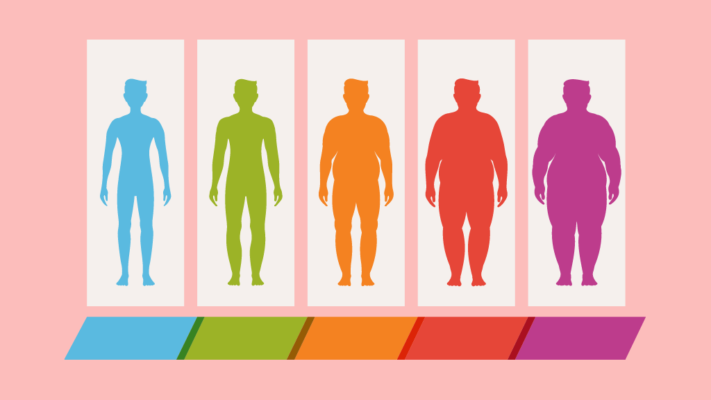 男性・女性別のBMIと体脂肪率の体型評価表