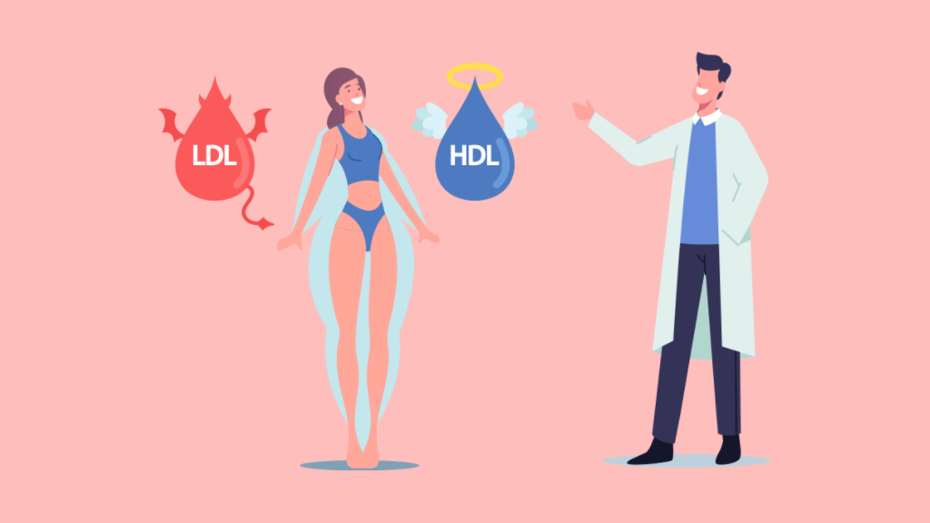 LDLとHDLコレステロールの脂質としての役割