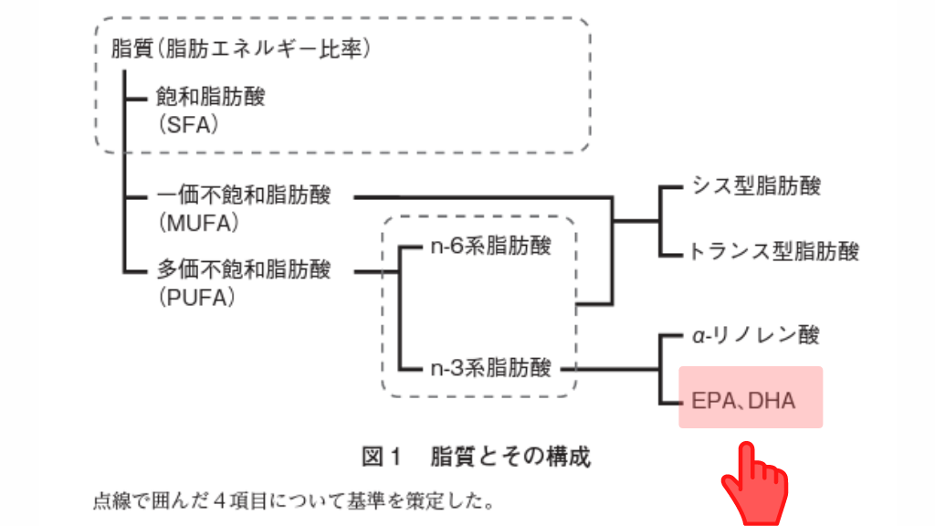 EPAとDHAはn-3系脂肪酸と呼ばれる不飽和脂肪酸の一つ
出典：厚生労働省「「日本人の食事摂取基準（2020年版）」策定検討会報告書」